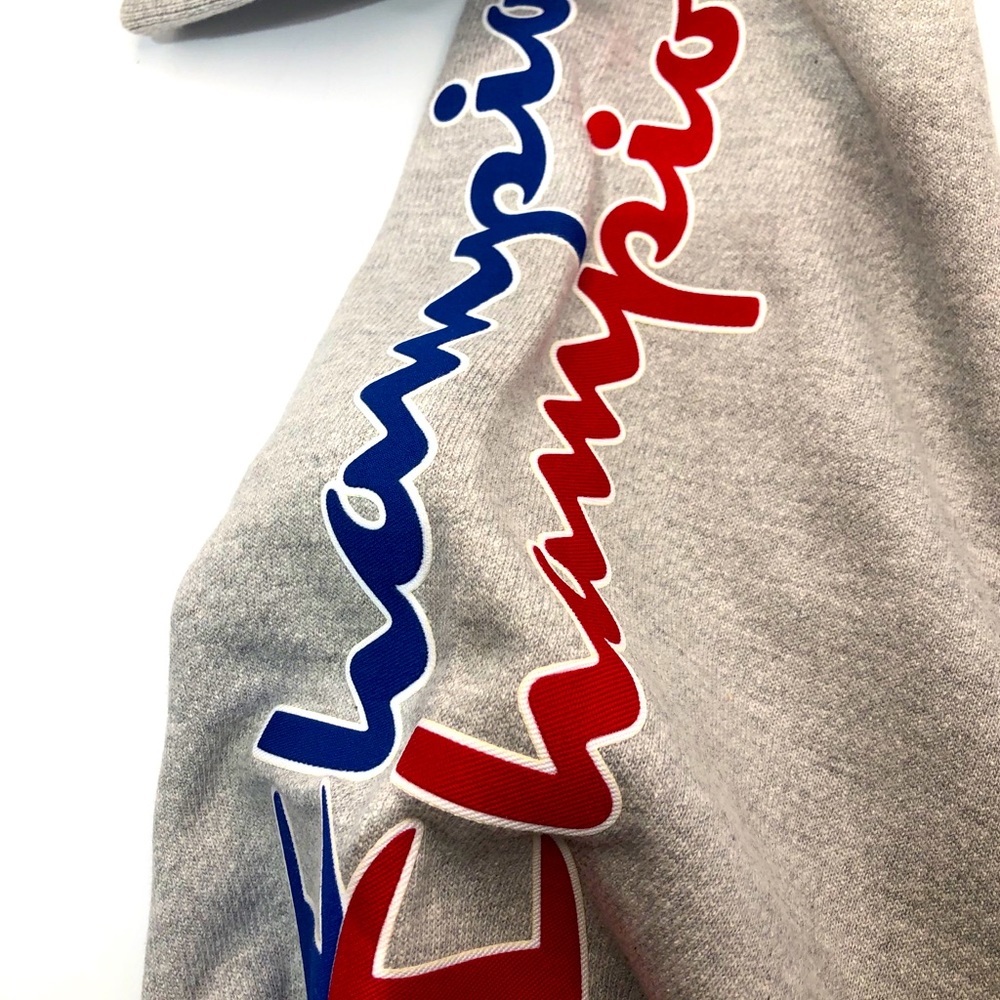Champion Reverse Weave Big Script Hoodie - Picture 3 of 4